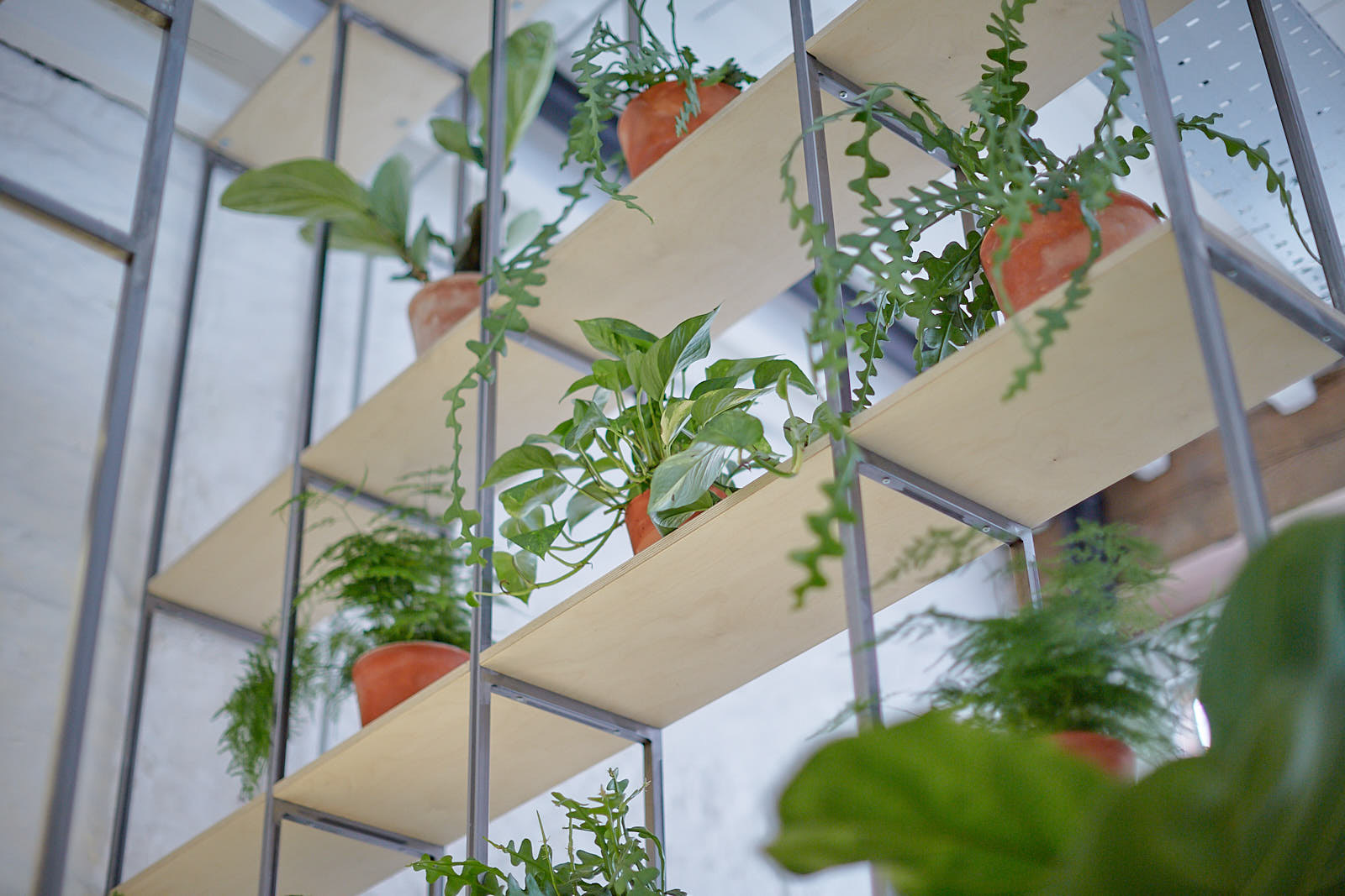 Polycarbonate screens and planting