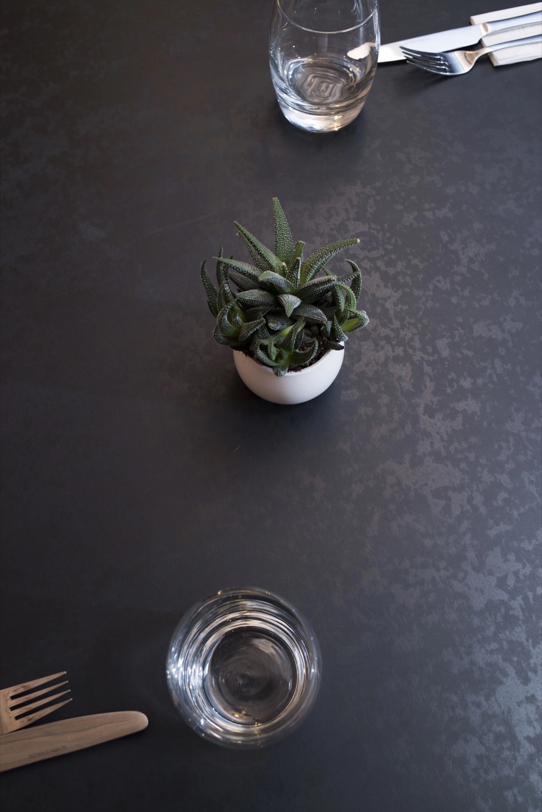 Planting against the dark table tops