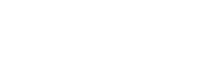 Parallel Architecture