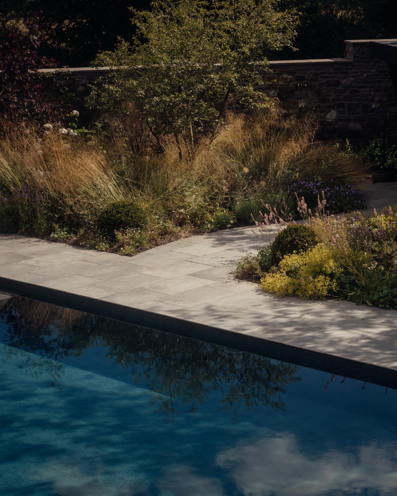Planting and a path through the gardens